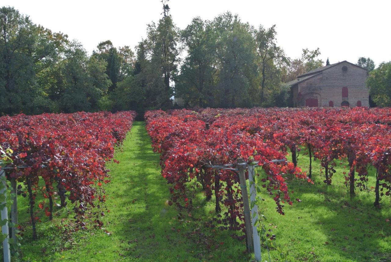 Alloggio Cantalupo Formigine Kültér fotó